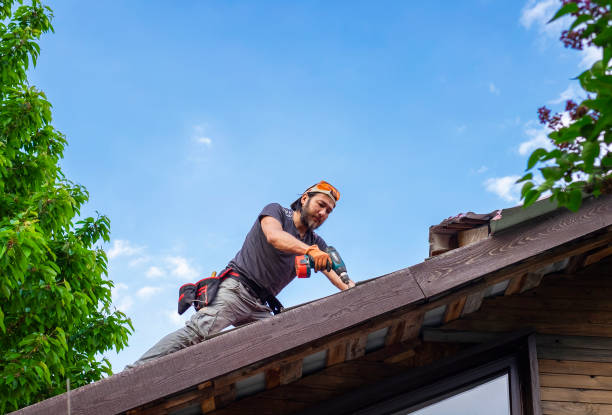 Best Tile Roofing Installation  in Saucier, MS