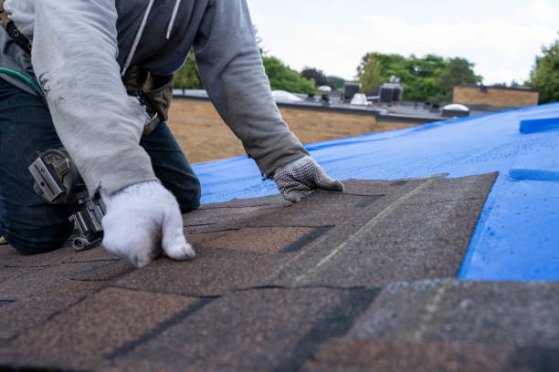 Best Solar Panel Roofing Installation  in Saucier, MS