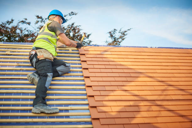Best Metal Roofing Installation  in Saucier, MS
